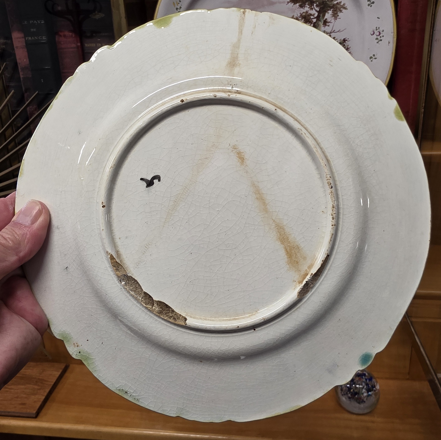 A Majolica "Asparagus" Plate A Majolica "Asparagus" Plate